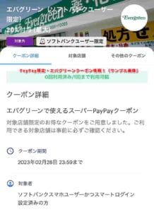 PayPay限定・エバグリーンクーポン情報！（サンプル画像）