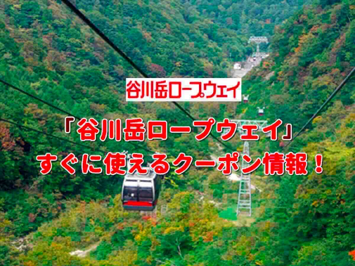 谷川岳ロープウェイ クーポン情報 22年7月版 最新クーポン Com 谷川岳ロープウェイ クーポン情報 22年7月版 最新クーポン Com
