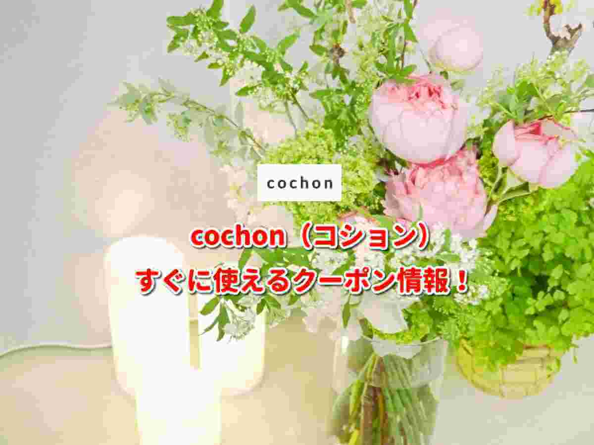 Cochon コション クーポン最新情報 22年7月版 最新クーポン Com